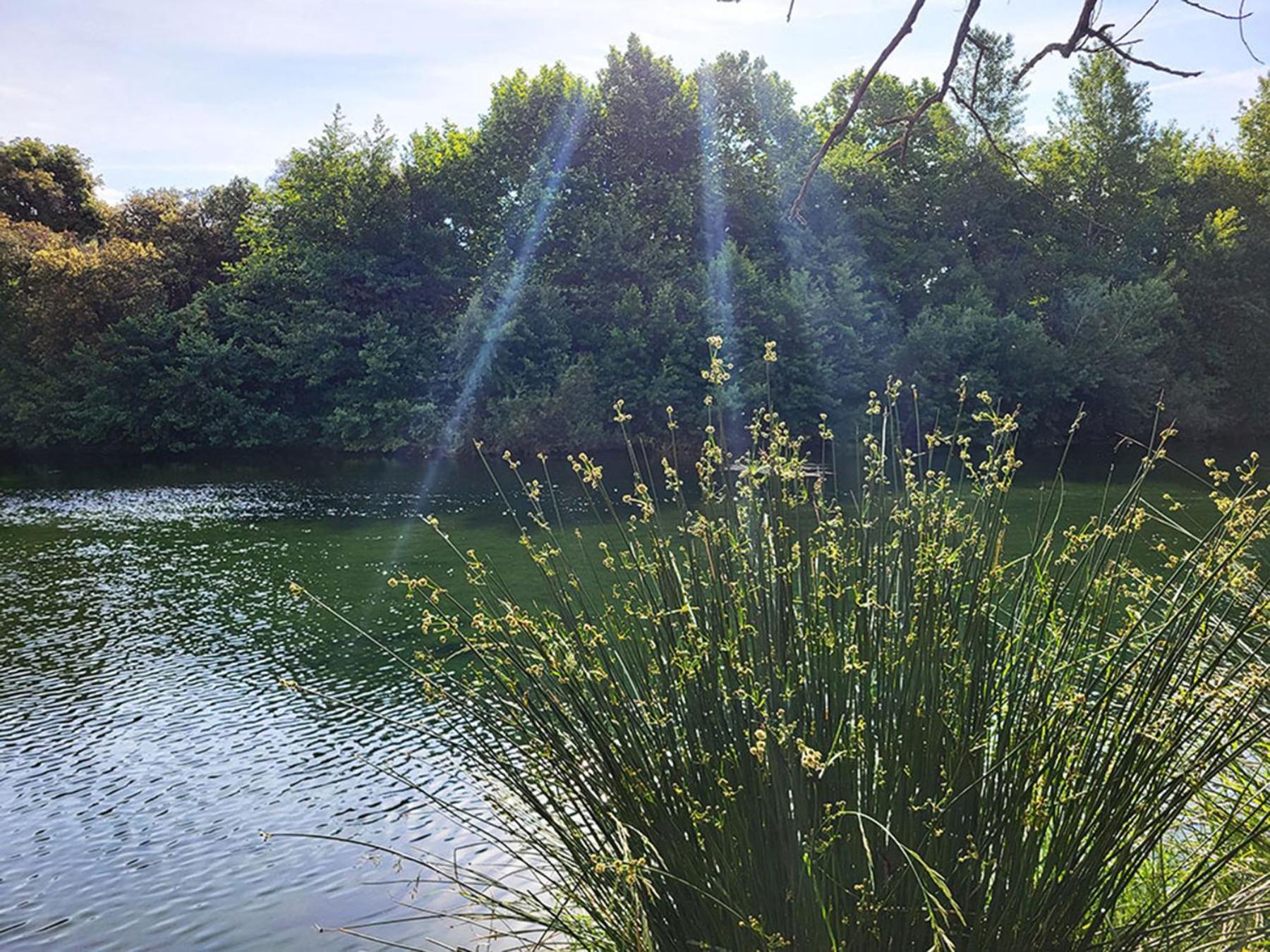 Camping Le Val De Cesse Mirepeisset Zewnętrze zdjęcie