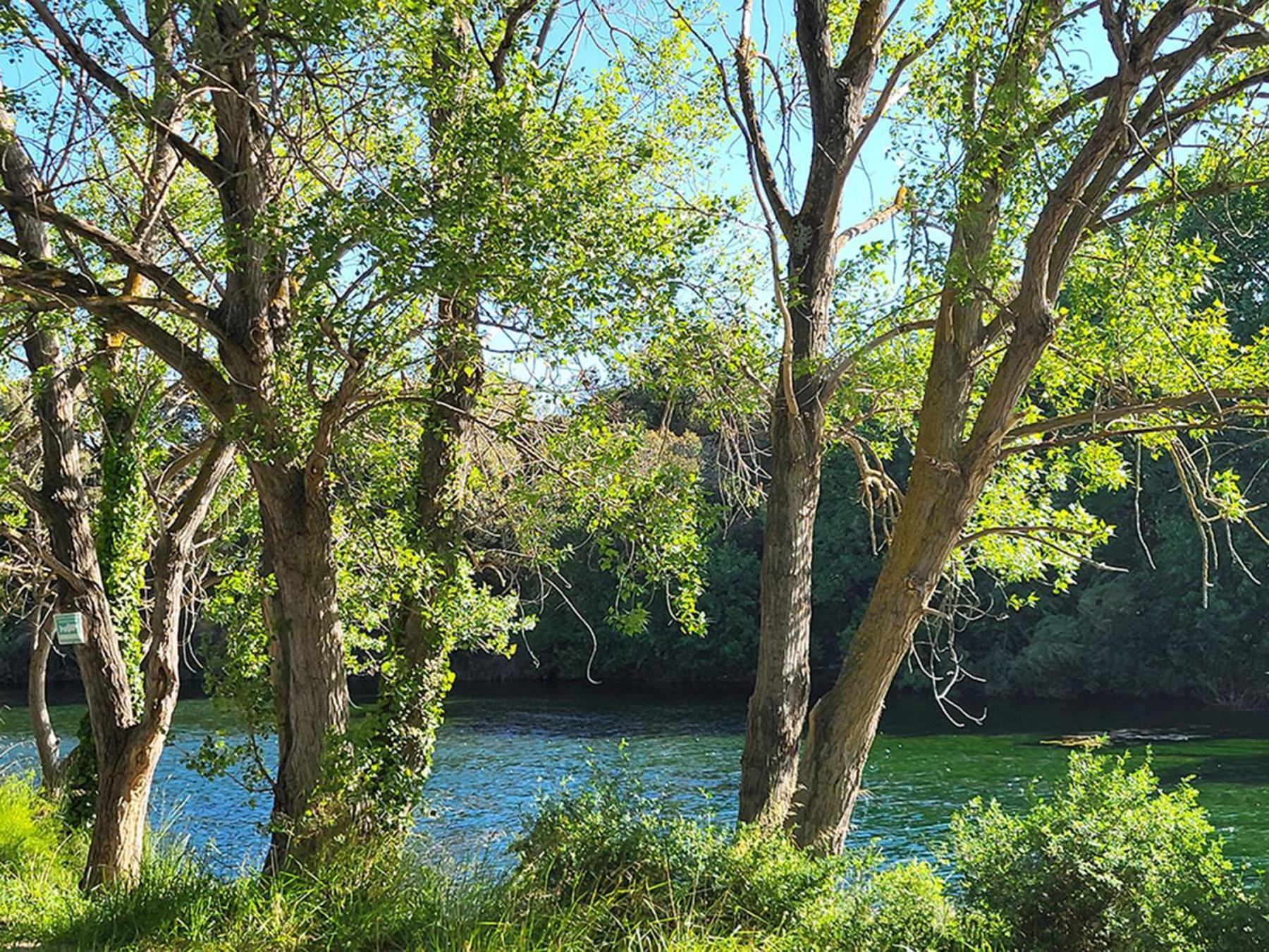 Camping Le Val De Cesse Mirepeisset Zewnętrze zdjęcie